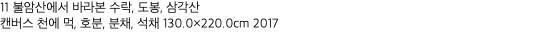 11 불암산에서 바라본 수락, 도봉, 삼각산 캔버스 천에 먹, 호분, 분채, 석채 130.0×220.0cm 2017