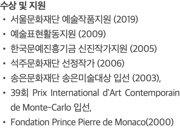 수상 및 지원 서울문화재단 예술작품지원 (2019) 예술표현활동지원 (2009) 한국문예진흥기금 신진작가지원 (2005) 석주문화재단 선정작가 (2006) 송은문화재단 송은미술대상 입선 (2003), 39회 Prix International d'Art Contemporain de Monte-Carlo 입선, Fondation Prince Pierre de Monaco(2000)