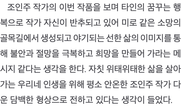  조인주 작가의 이번 작품을 보며 타인의 꿈꾸는 행복으로 작가 자신이 반추되고 있어 미로 같은 소망의 골목길에서 생성되고 야기되는 선한 삶의 이미지를 통해 불안과 절망을 극복하고 희망을 만들어 가라는 메시지 같다는 생각을 한다. 자칫 위태위태한 삶을 살아가는 우리네 인생을 위해 평소 안온한 조인주 작가 다운 담백한 형상으로 전하고 있다는 생각이 들었다.