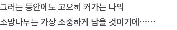 그러는 동안에도 고요히 커가는 나의 소망나무는 가장 소중하게 남을 것이기에······