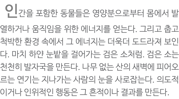  인간을 포함한 동물들은 영양분으로부터 몸에서 발열하거나 움직임을 위한 에너지를 얻는다. 그리고 춥고 척박한 환경 속에서 그 에너지는 더욱더 도드라져 보인다. 마치 하얀 눈밭을 걸어가는 검은 소처럼. 검은 소는 천천히 발자국을 만든다. 나무 없는 산의 새벽에 피어오르는 연기는 지나가는 사람의 눈을 사로잡는다. 의도적이거나 인위적인 행동은 그 흔적이나 결과를 만든다.