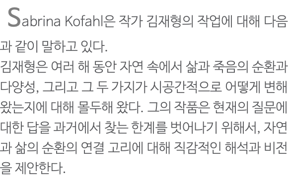  Sabrina Kofahl은 작가 김재형의 작업에 대해 다음과 같이 말하고 있다. 김재형은 여러 해 동안 자연 속에서 삶과 죽음의 순환과 다양성, 그리고 그 두 가지가 시공간적으로 어떻게 변해왔는지에 대해 몰두해 왔다. 그의 작품은 현재의 질문에 대한 답을 과거에서 찾는 한계를 벗어나기 위해서, 자연과 삶의 순환의 연결 고리에 대해 직감적인 해석과 비전을 제안한다.