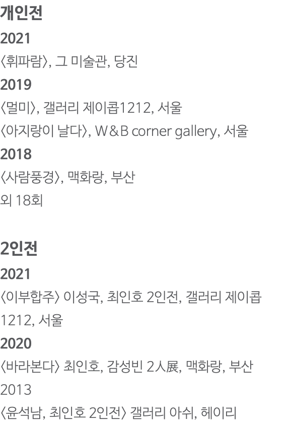 개인전 2021 <휘파람>, 그 미술관, 당진 2019 <멀미>, 갤러리 제이콥1212, 서울 <아지랑이 날다>, W&B corner gallery, 서울 2018 <사람풍경>, 맥화랑, 부산 외 18회 2인전 2021 <이부합주> 이성국, 최인호 2인전, 갤러리 제이콥1212, 서울 2020 <바라본다> 최인호, 감성빈 2人展, 맥화랑, 부산 2013 <윤석남, 최인호 2인전> 갤러리 아쉬, 헤이리