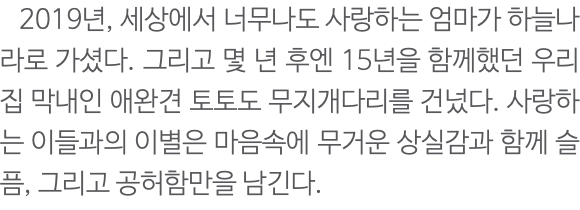  2019년, 세상에서 너무나도 사랑하는 엄마가 하늘나라로 가셨다. 그리고 몇 년 후엔 15년을 함께했던 우리 집 막내인 애완견 토토도 무지개다리를 건넜다. 사랑하는 이들과의 이별은 마음속에 무거운 상실감과 함께 슬픔, 그리고 공허함만을 남긴다. 