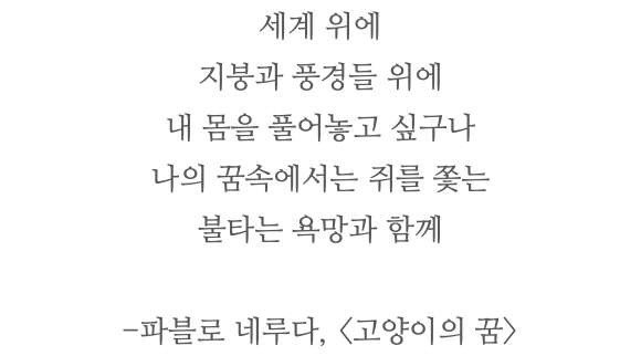 세계 위에 지붕과 풍경들 위에 내 몸을 풀어놓고 싶구나 나의 꿈속에서는 쥐를 쫓는 불타는 욕망과 함께 -파블로 네루다, <고양이의 꿈> 