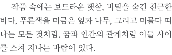  작품 속에는 보드라운 햇살, 비밀을 숨긴 친근한 바다, 푸른색을 머금은 잎과 나무, 그리고 머물다 떠나는 모든 것처럼, 꿈과 인간의 관계처럼 이들 사이를 스쳐 지나는 바람이 있다.