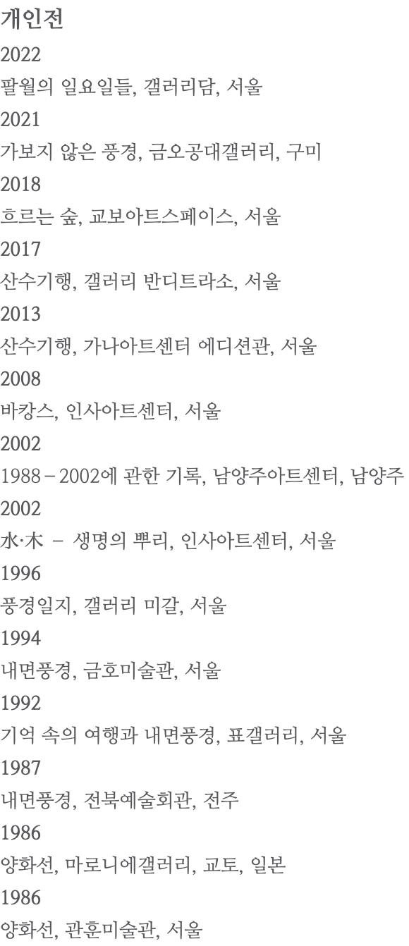 개인전 2022 팔월의 일요일들, 갤러리담, 서울 2021 가보지 않은 풍경, 금오공대갤러리, 구미 2018 흐르는 숲, 교보아트스페이스, 서울 2017 산수기행, 갤러리 반디트라소, 서울 2013 산수기행, 가나아트센터 에디션관, 서울 2008 바캉스, 인사아트센터, 서울 2002 1988–2002에 관한 기록, 남양주아트센터, 남양주 2002 水·木 – 생명의 뿌리, 인사아트센터, 서울 1996 풍경일지, 갤러리 미갈, 서울 1994 내면풍경, 금호미술관, 서울 1992 기억 속의 여행과 내면풍경, 표갤러리, 서울 1987 내면풍경, 전북예술회관, 전주 1986 양화선, 마로니에갤러리, 교토, 일본 1986 양화선, 관훈미술관, 서울